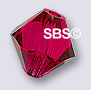 Swarovski 5301 6mm Bicone - Ruby (36)