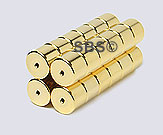 8x6 Magnetic Tube Gold (12)