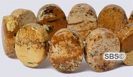 Picture Jasper 12x15 2-Hole Gemstone Beads (16" strand)