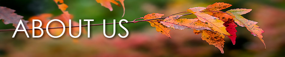 About Us