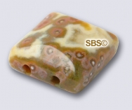 Ocean Jasper 10x10 2-Hole Gemstone Beads (12)