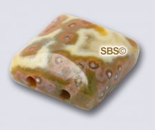 Ocean Jasper 10x10 2-Hole Gemstone Beads (12)