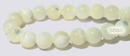 Mother of Pearl Beads - 6mm Round White